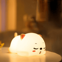 Slapende kat