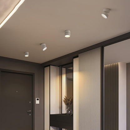 Verstelbare LED Spot in Modern Minimalistisch Scandinavisch Design