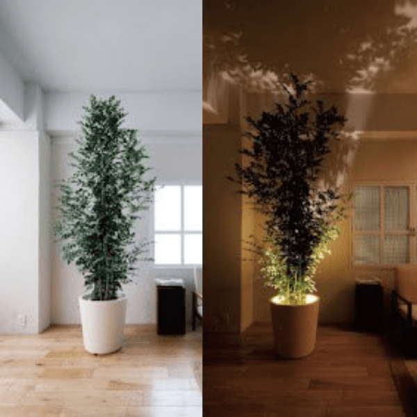 Viva™ Projector Lamp