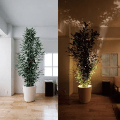 Viva™ Projector Lamp