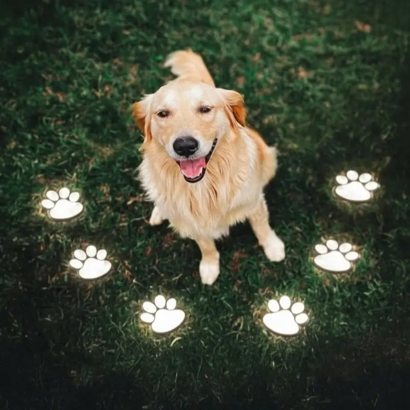 PawGlow™ Solar Lamp
